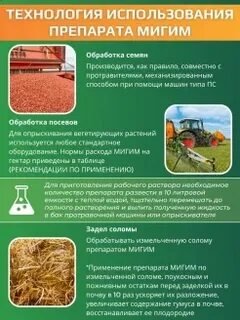 Атлант для рассады