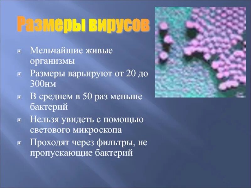 Мельчайшие живые организмы. Бактерии это мельчайшие живые. Вирусы живые. Мельчайшие вирусы. Пройдет ли вирус