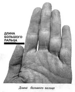 Развитие большого пальца