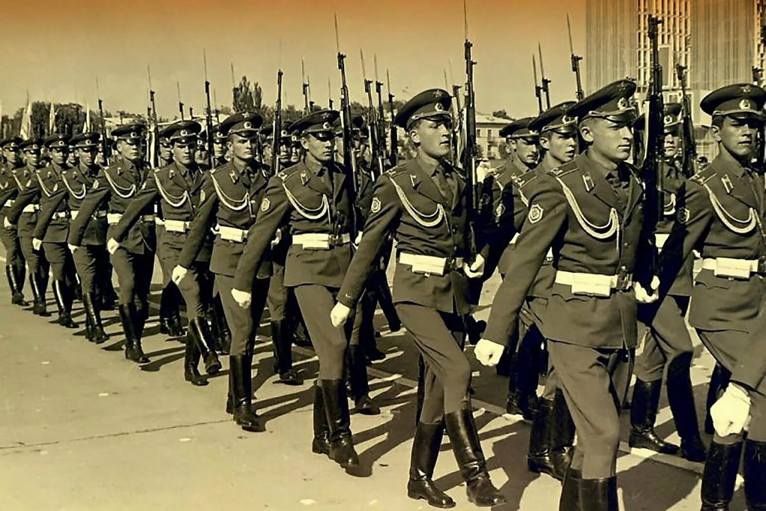Парад 80 х