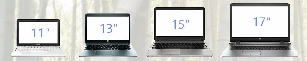 Ноутбук 15.6 vs 16 ASUS. Ноутбук размер экрана 17.3 или 15.6 дюймов Sony VAIO дешевый. Экран ноутбука 15.6 и 17 дюймов сравнение. Ноут экран 15 и 17 дюймов. Сравните 3 и 17 6