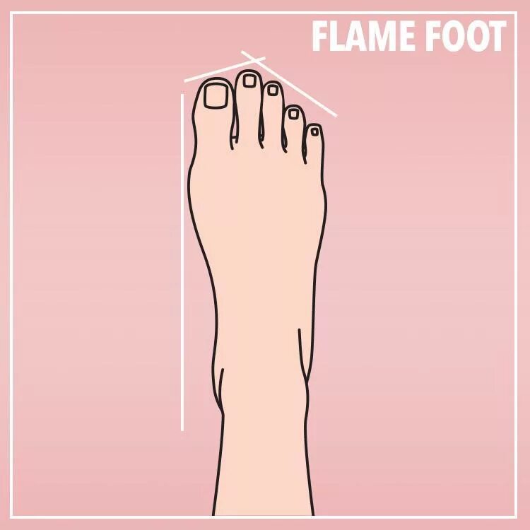 Toes names. Foot is meaning. Foot is meaning. Римский тип стопы. Что такое по английскому feet.