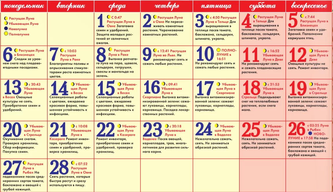 Календарь садовода и огородника на февраль 2021. Календарь садовода и огородника на февраль 2021 года. Пассивной календарь на февраль. Посевной календарьн на февраль.