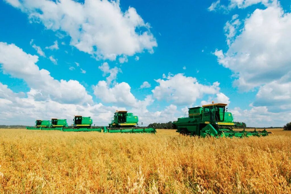агропромышленный комплекс промышленность. агропромышленный комплекс ростовской области. агропромышленный комплекс промышленность. сельхоз хозяйство. сельскохозяйственная промышленность.