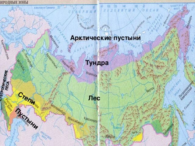 Тундра на карте природных зон. Тундра на карте России. Арктические пустыни на карте России. Природные зоны арктические пустыни тундра.