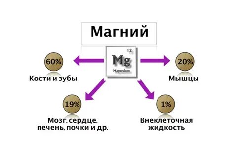 Магний в6 зачем нужен