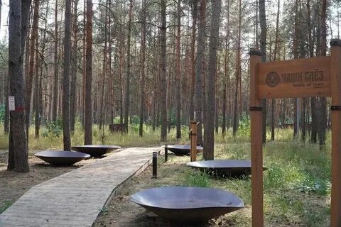 Каялов бор