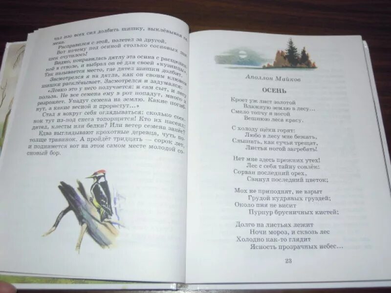 Родничок 3 класс. Книга Родничок 3 класс. Родничок 3 кл книга для внеклассного чтения. Родничок чтение 3 класс. Книги для 3 класса Внеклассное чтение.