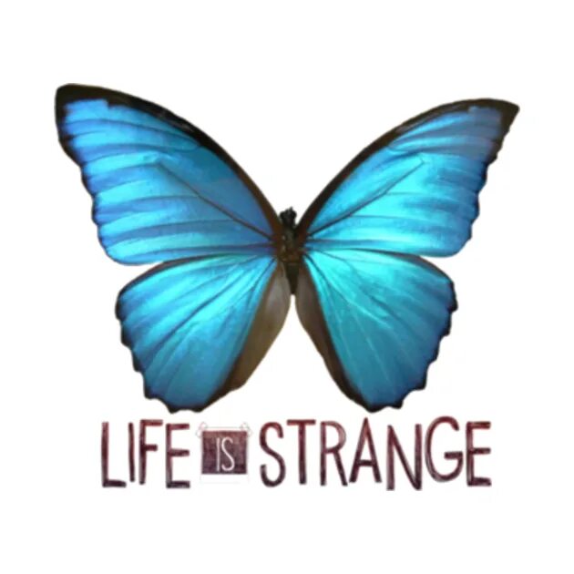 Life being what it is. Голубая бабочка life is strange. бабочка. бабочка лайф ис стрендж. бабочка life is strange тату.