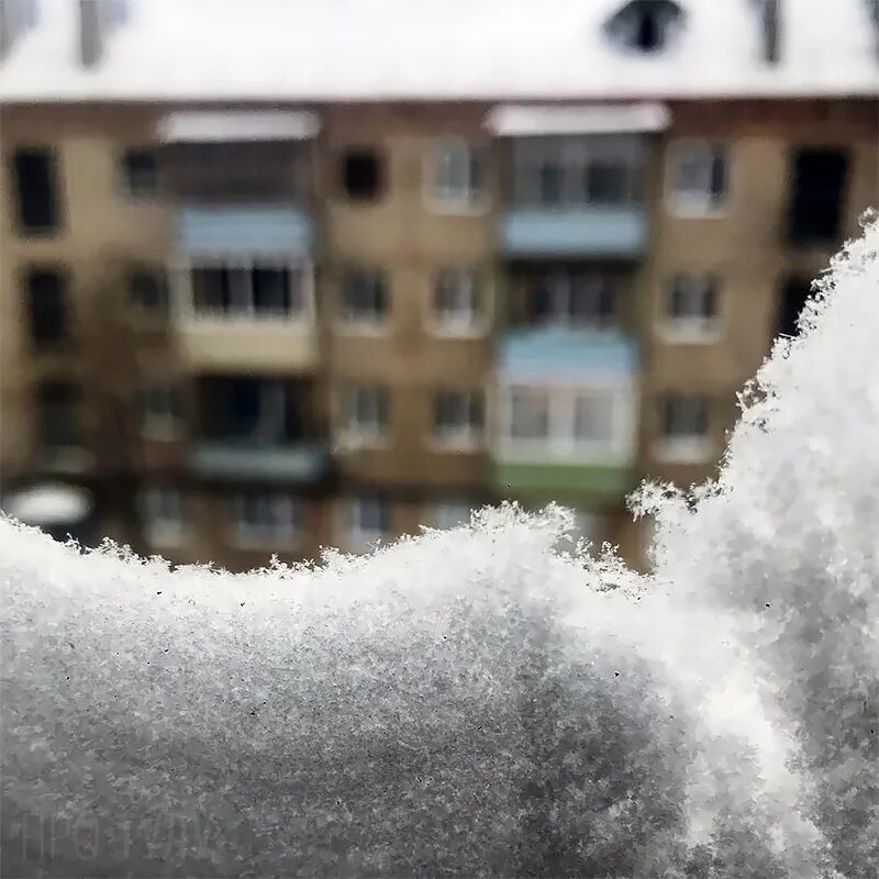Зимняя фотосессия. Зима новая жизнь. Зимнее настроение. Зима новая жизнь. Зима новая жизнь.