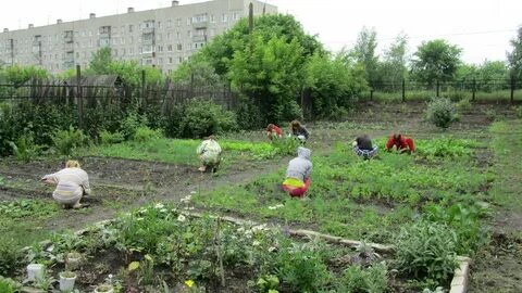 Сад 06 образования