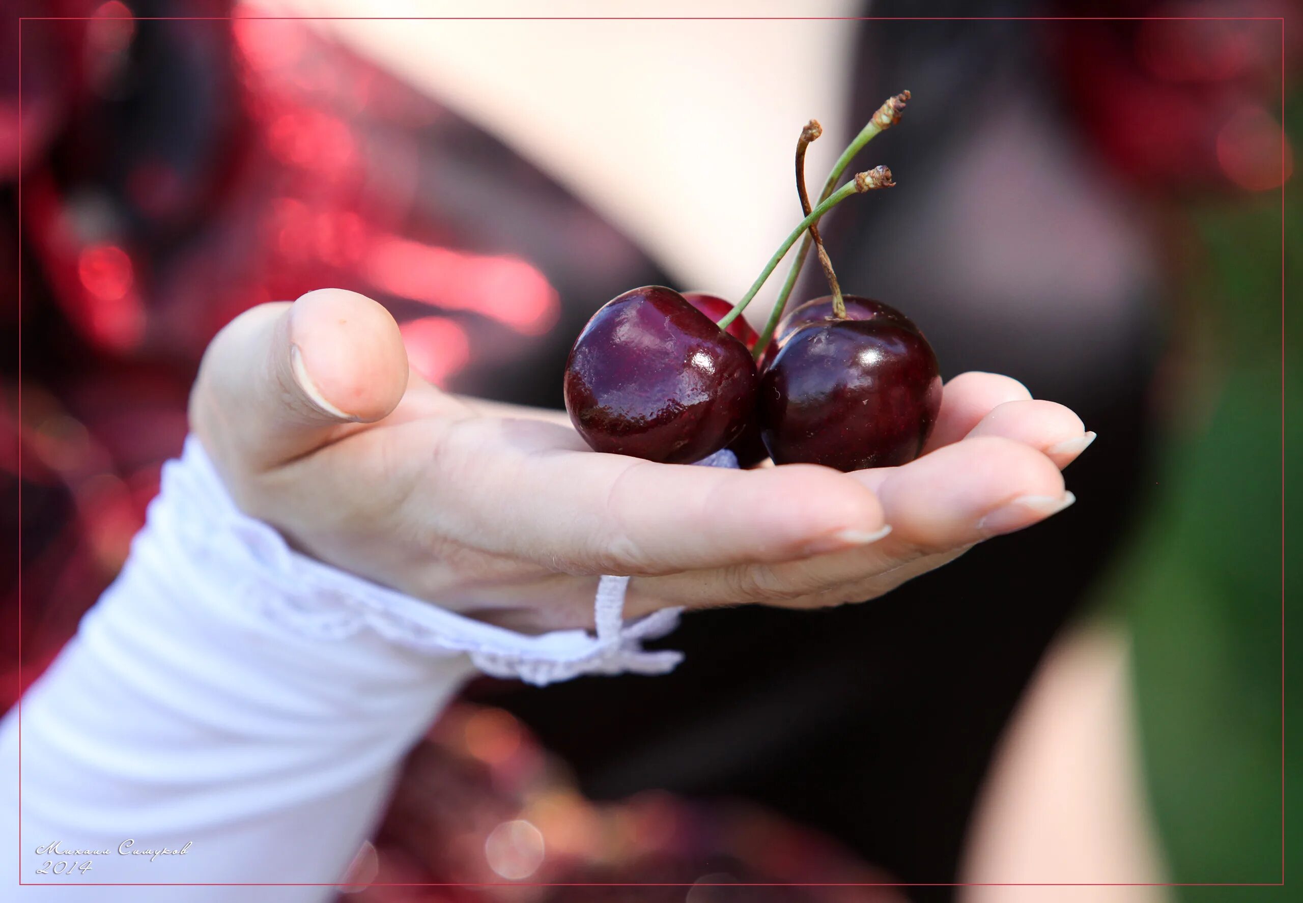 Ягода с лицом. Девушка улыбается. Девушка с корзинкой фруктов. Вишневый человек. Рука с вишенкой.