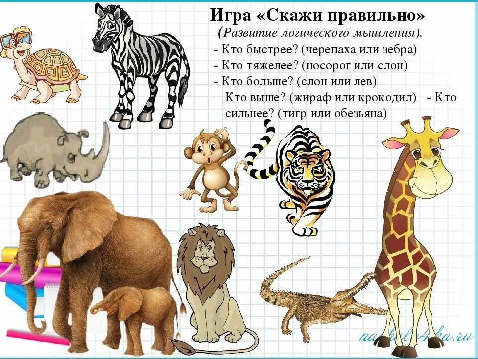 Про животных изучать. Животные жарких стран. задания про животных. животные жарких стран для дошкольников. зоопарк задания для детей.