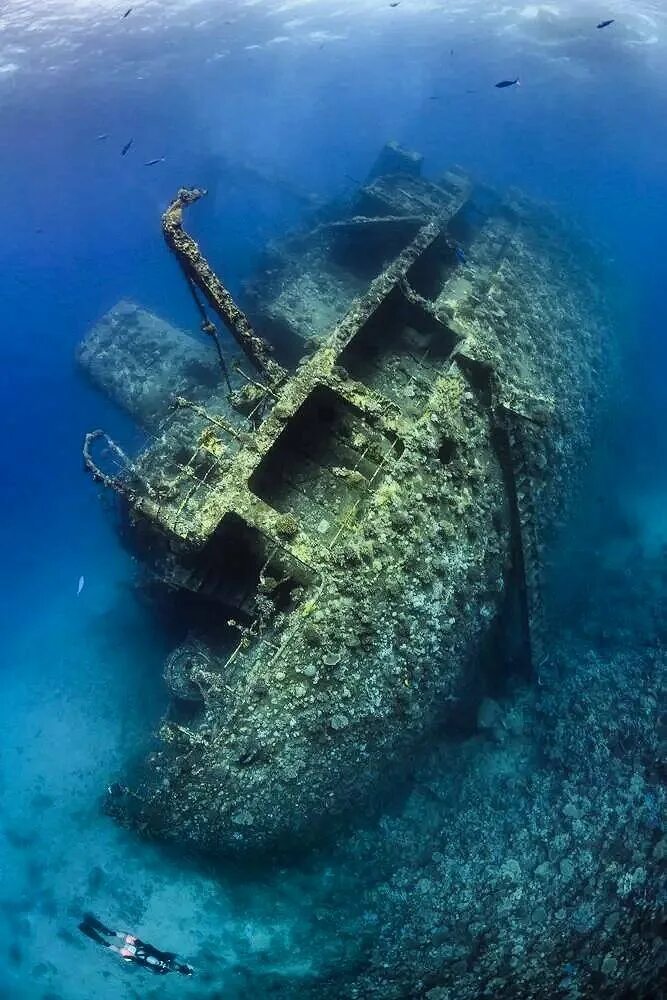 Затонувшие корабли на дне моря. Затонувший испанский Галеон Сан Хосе. Карибское море Бермудский треугольник. Затонувший корабль «Джонстон». Корабли под водой.