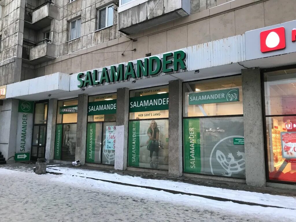 Магазины саламандер в СПБ. Магазин саламандер СПБ закрыт. Магазин Salamander Алексеевская. Salamander фото магазина.