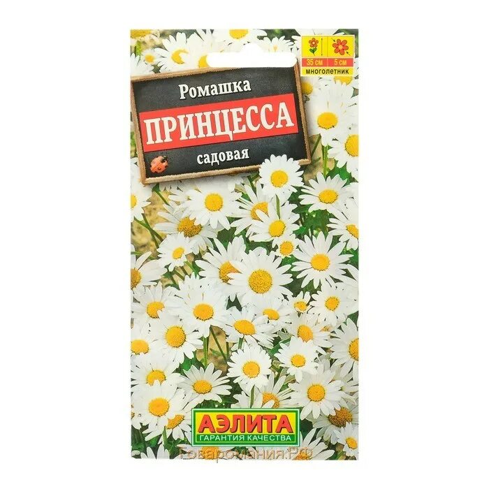 Семена ромашки. Семена жёлтой ромашки. Ромашка лекарственная семена. Семена ромашки. Семена ромашки.