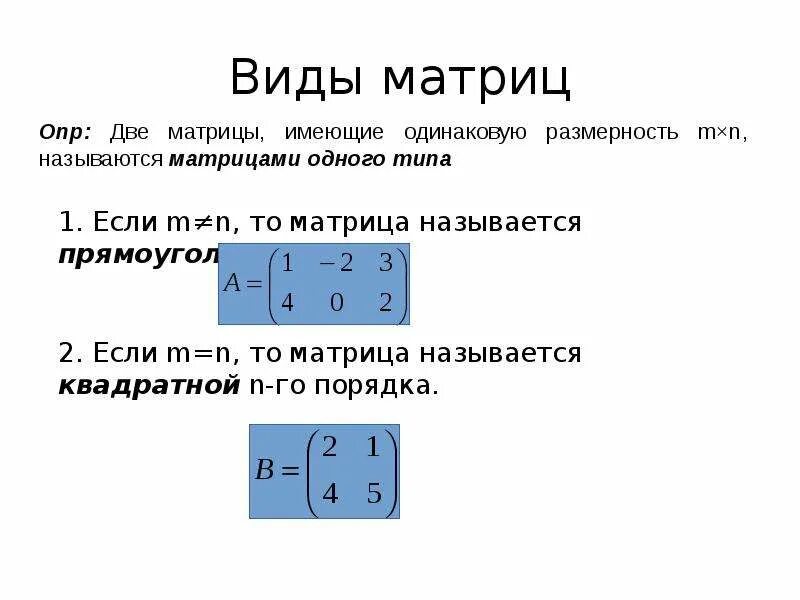 Типы матриц Информатика. Понятие и общий вид матрицы. Как определить вид матрицы. Типы матриц в математике.