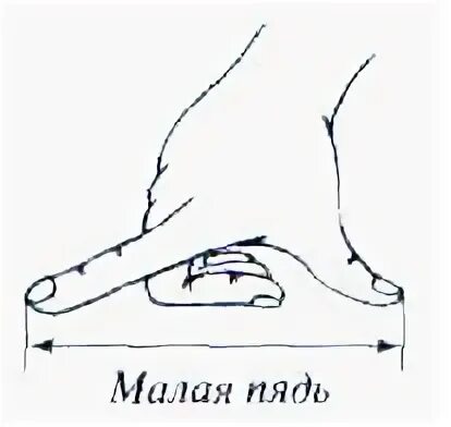 Пядь малая измерение. Старинные меры длины пядь. Пядь земли анализ произведения. Малая пядь. Пядь с кувырком.