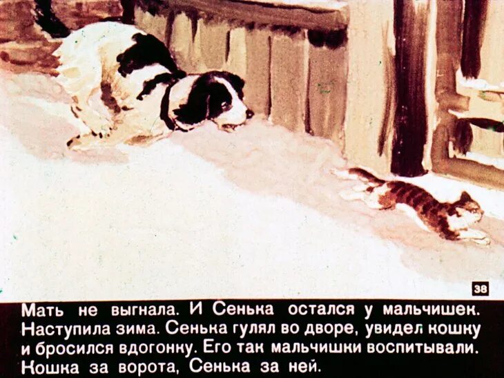 Сенька кратко. Рассказ сенька. сенька краткое содержание. свинцов мама вася иллюстрация. сенька и море.