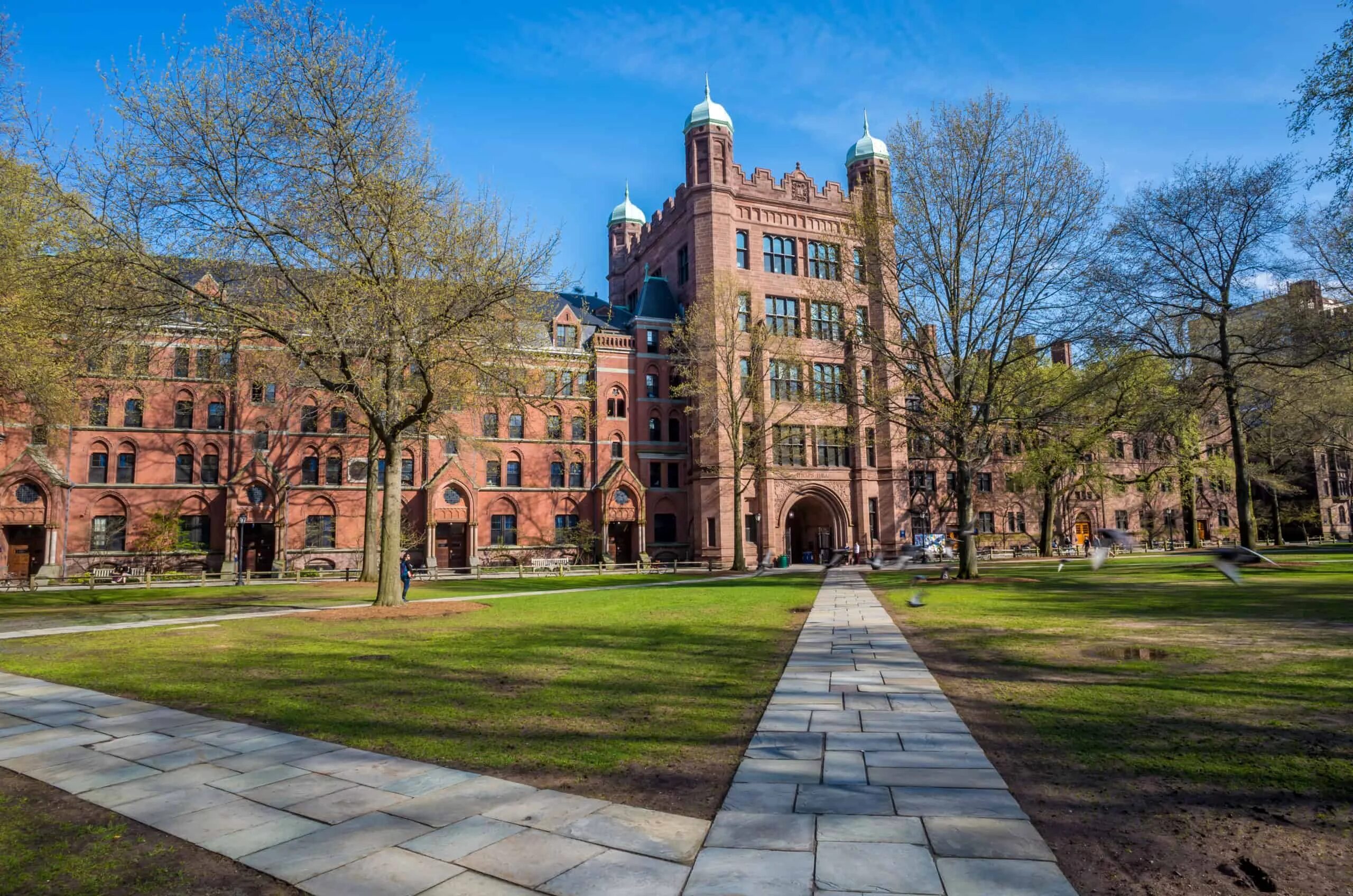 University picture. Йельский университет. Нью-Хейвен.. Йельский университет (Нью-Хейвен, Коннектикут). Университет Йель в США. Йельский университет кампус.