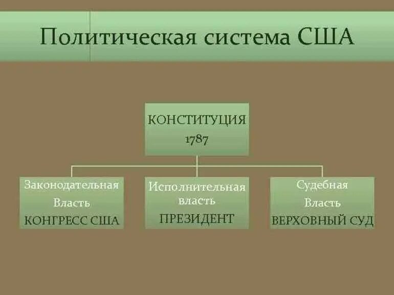 Глава исполнительной власти в сша. Структура власти в сша схема. схема структура органов власти сша. система исполнительной власти сша схема. система власти в сша.