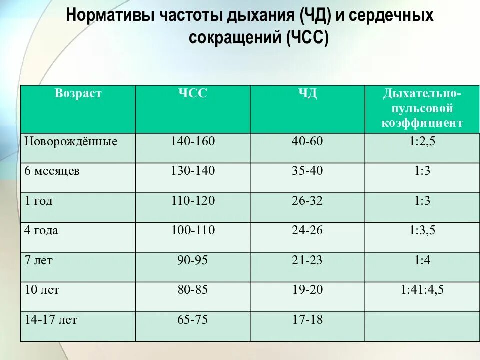 Частота дыхания по возрасту