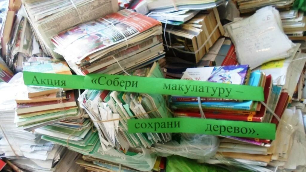 Макулатура в школу что можно сдавать. Что такое макулатура в школе. сдача макулатуры. собираем макулатуру. собери макулатуру.