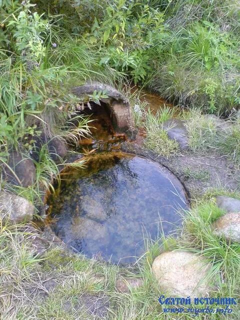 Родничок вырывается из земли. Родник Студеный ключ Токмакла. Родник Родничок. Ключ ручей Родник Можайка. Источник воды.