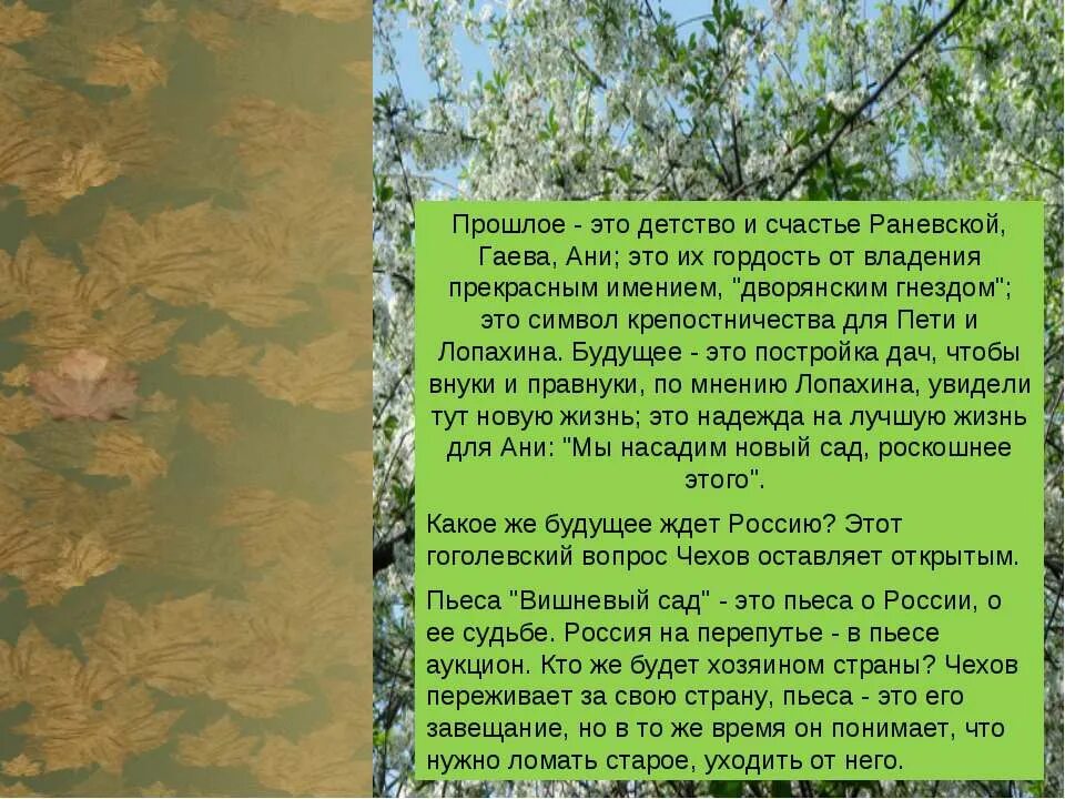 Какого настоящее в пьесе вишневый сад. Прошлое в пьесе вишневый сад. прошлое раневской вишневый сад. прошлое в пьесе вишневый сад раневская и гаев. образ вишнёвого сада прошлое.