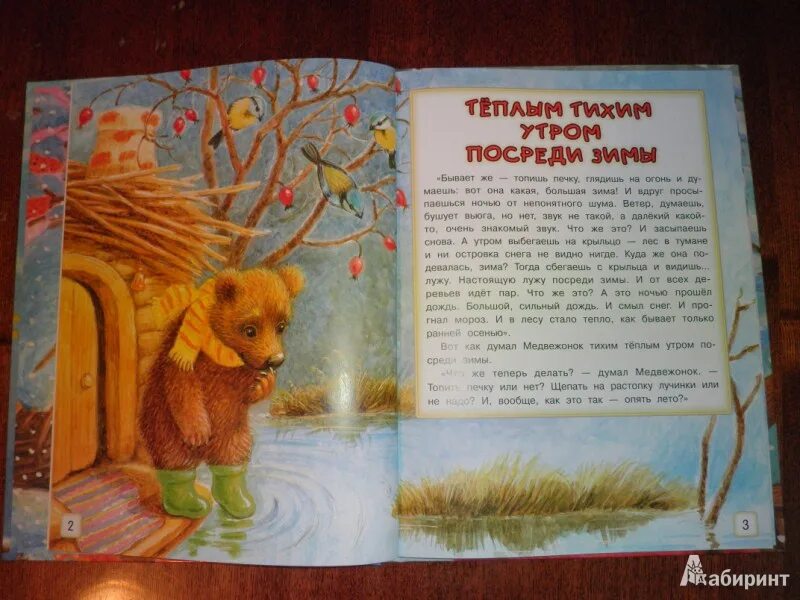 Сакариас топелиус зимняя сказка. Детская сказка зима. Зимняя сказка пересказ. Зимняя сказка рассказ. Короткая сказка про зиму.