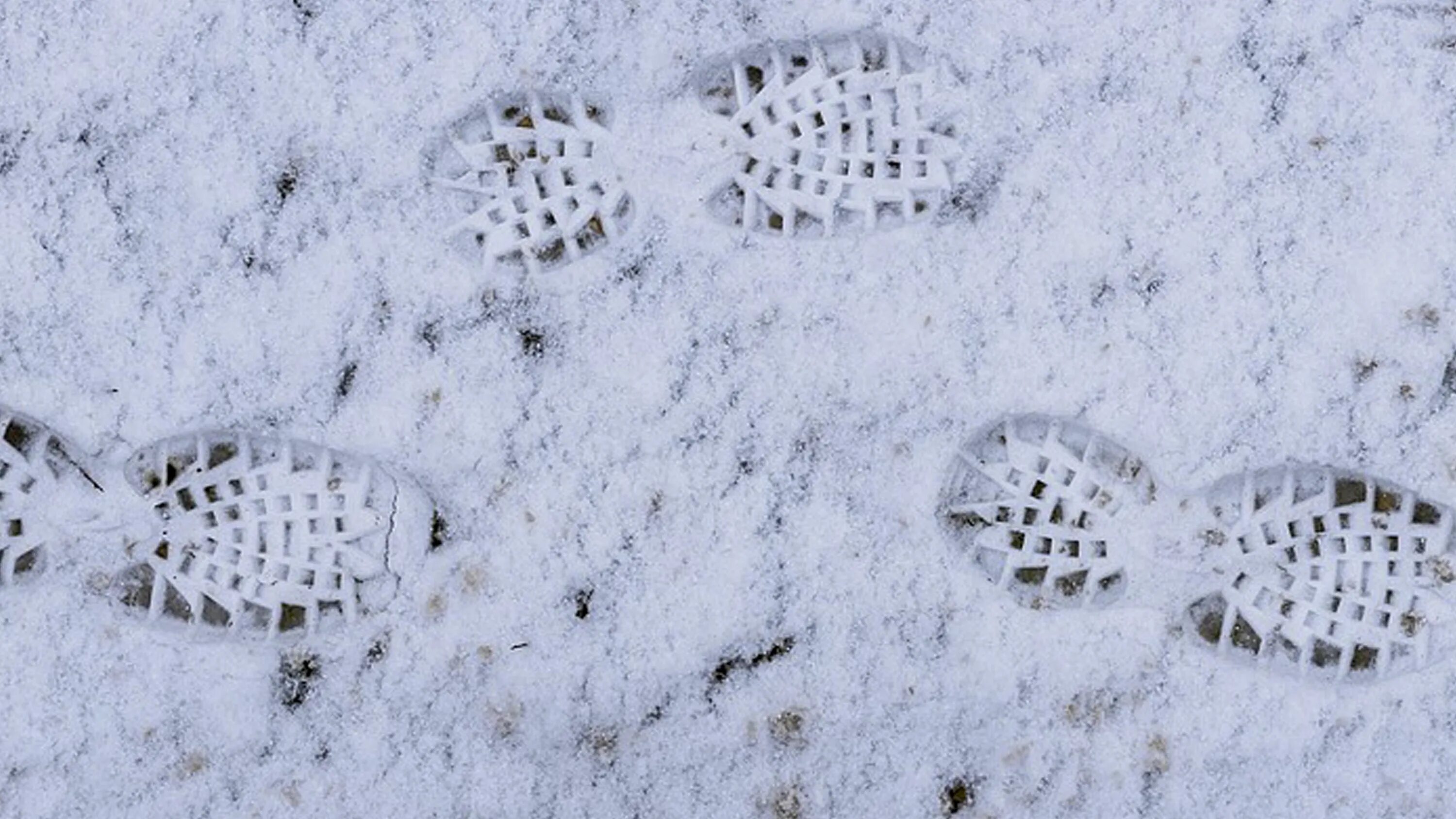 Как правильно следа или следа