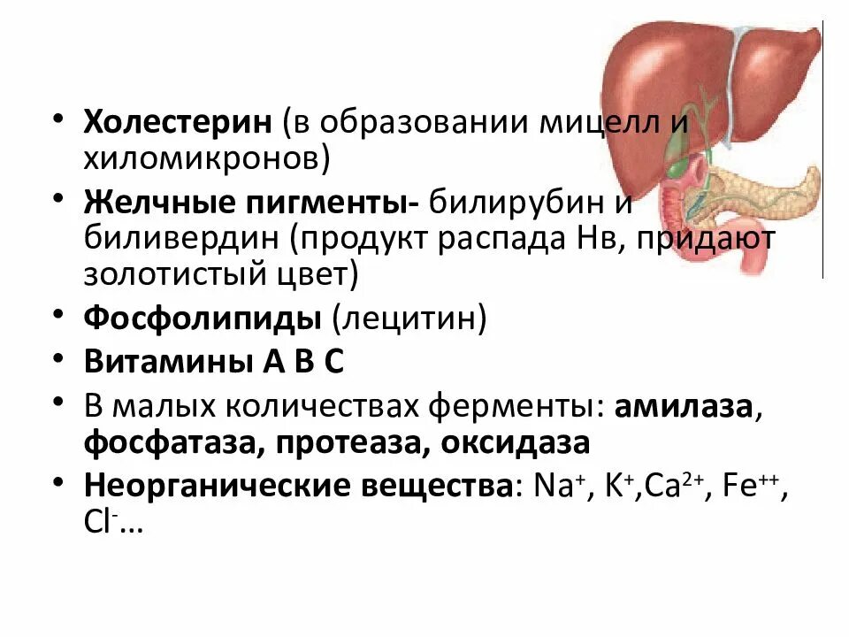 Функции билирубина в желчи. Желчь образуется в. Желчные пигменты. Укажите желчные пигменты придающие окраску желчи?.