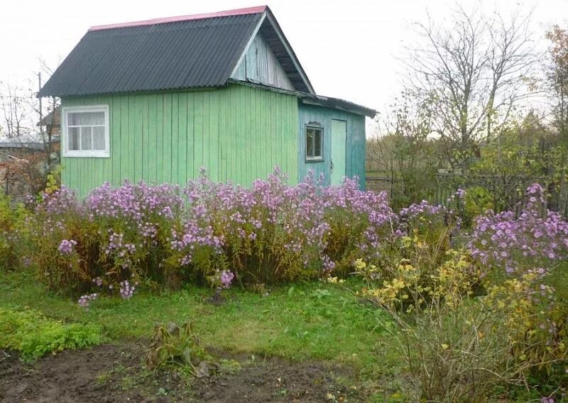 Дачи в новой мельнице великий. Новая мельница Новгородская область. Ляпино Новгородская область. Новая мельница дачный массив. Великий Новгород новая мельница Ермолино.