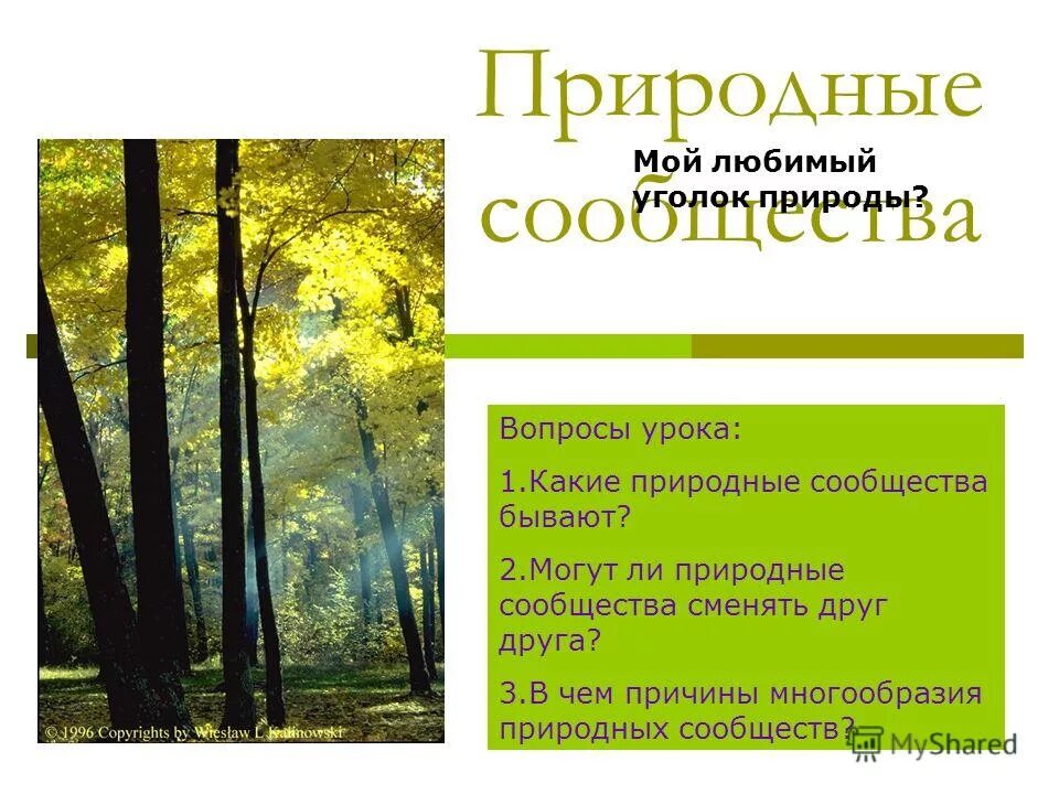 Урок 5 класс разнообразие природных сообществ. Какие бывают сообщества. Природные сообщества Курской области. Природное сообщество Курской области 4 класс. Могут ли природные сообщества сменять друг друга.