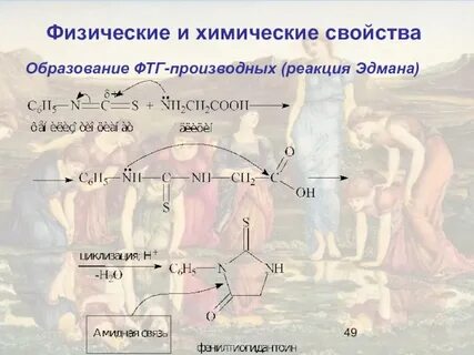 Фолликулярный юнит