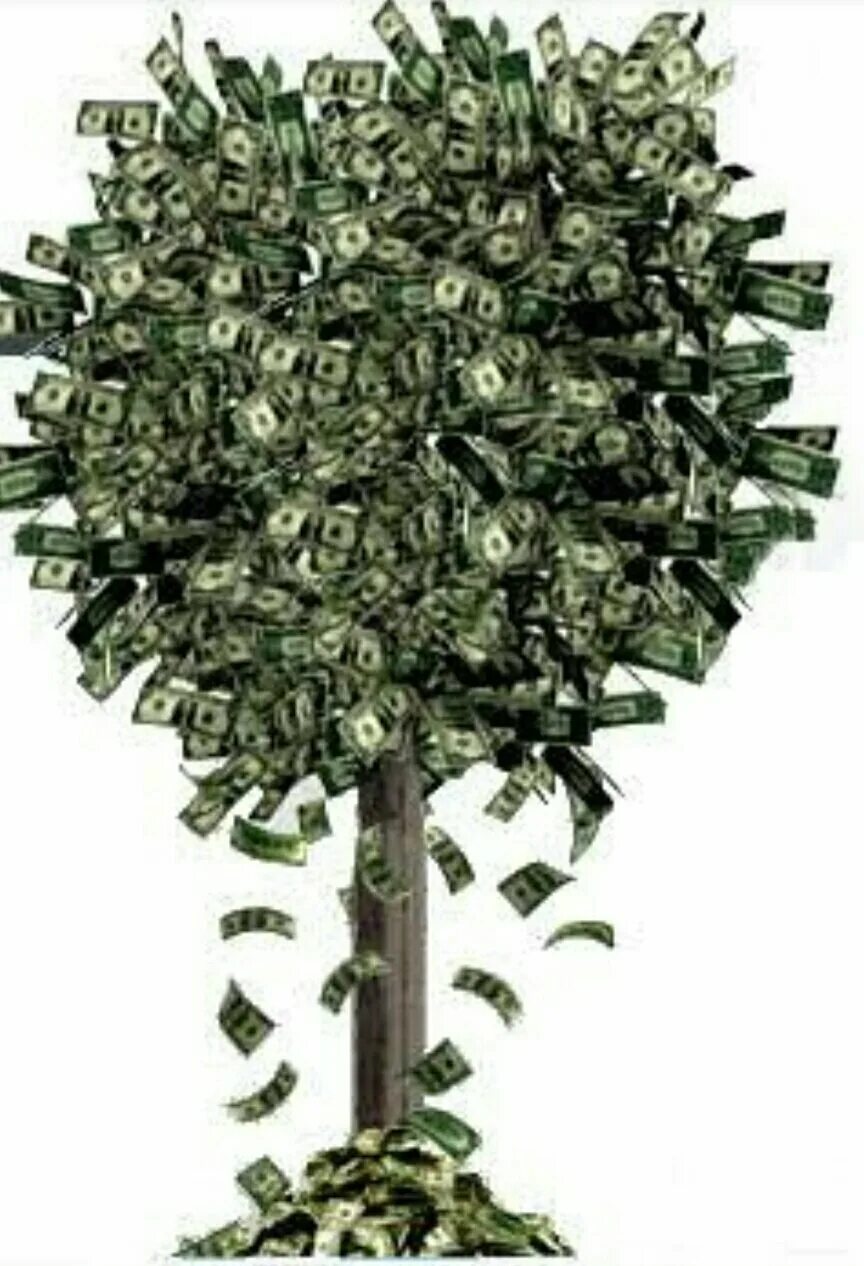 Money part 2