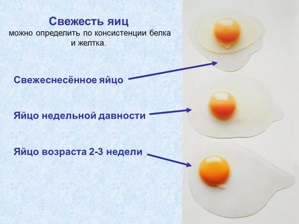 Каким образом попадают в окружающую яйца. Свежесть яиц. Определить свежесть яиц. Определение свежести яиц. КПК определить свежест яиц.