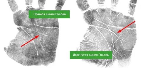 Про линия