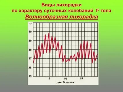 Виды лихорадок