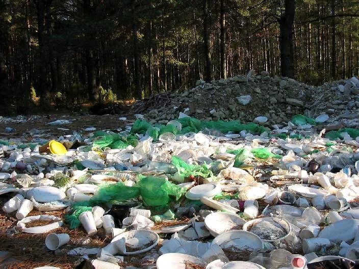 Влияние экологии на животных. Загрязнение природы животные. Воздействие загрязнений на окружающую среду животные. Уничтожение флоры и фауны. Фауна арктики.