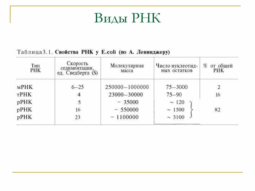 Типы РНК. Типы РНК таблица. Таблица по видам РНК. ТРНК МРНК ИРНК.