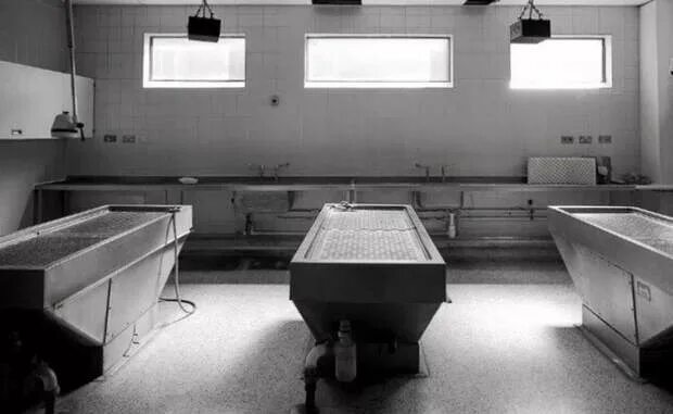 Морг, morgue, Perm Territory, Aleksandrovskiy munitsipalny okrug, Yayva Settleme
