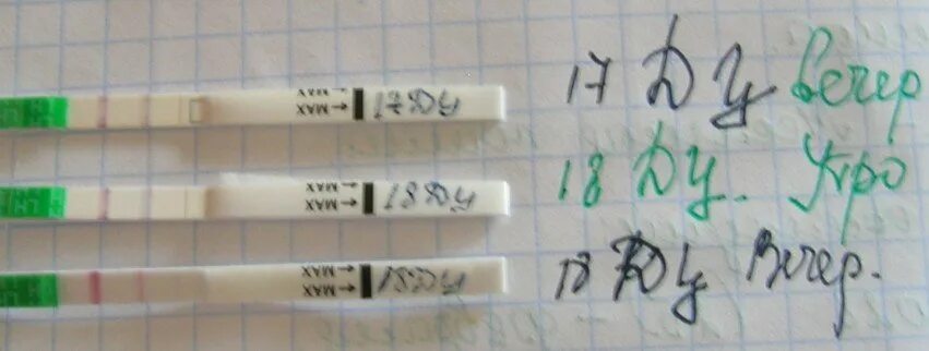 Что такое 10 тест. Тест на беременность 10 ммемл. чувствительность тестов на беременность 20 ммемл. фраутест на беременность 10 ммемл. чувствительность теста на беременность 15 ммемл.