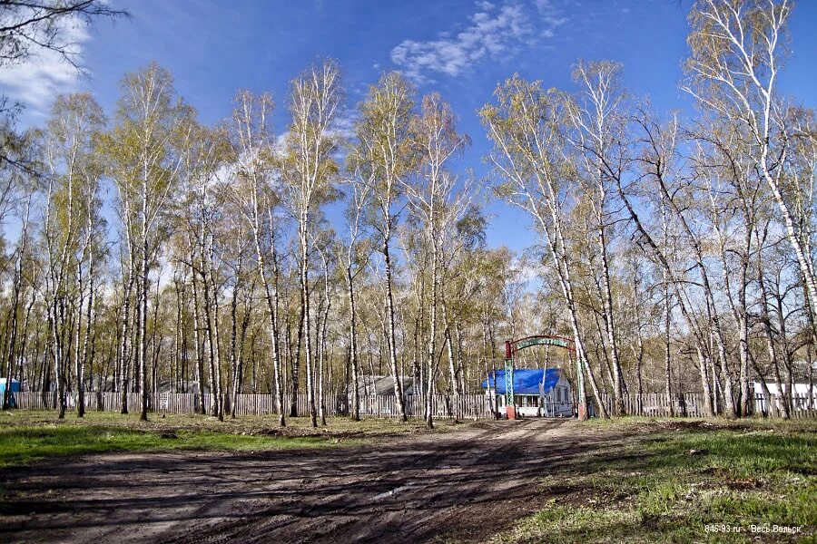 Лагерь цементник в вольске. Интересный день в летнем лагере. Лагерь цементник в вольске. Лагерь цементник в вольске. Город вольск лагерь цементник.