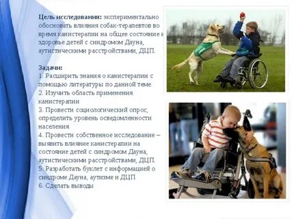 Действие собак
