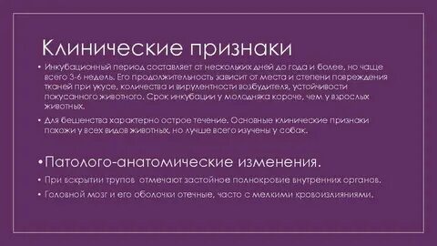Бешенство инкубационный период