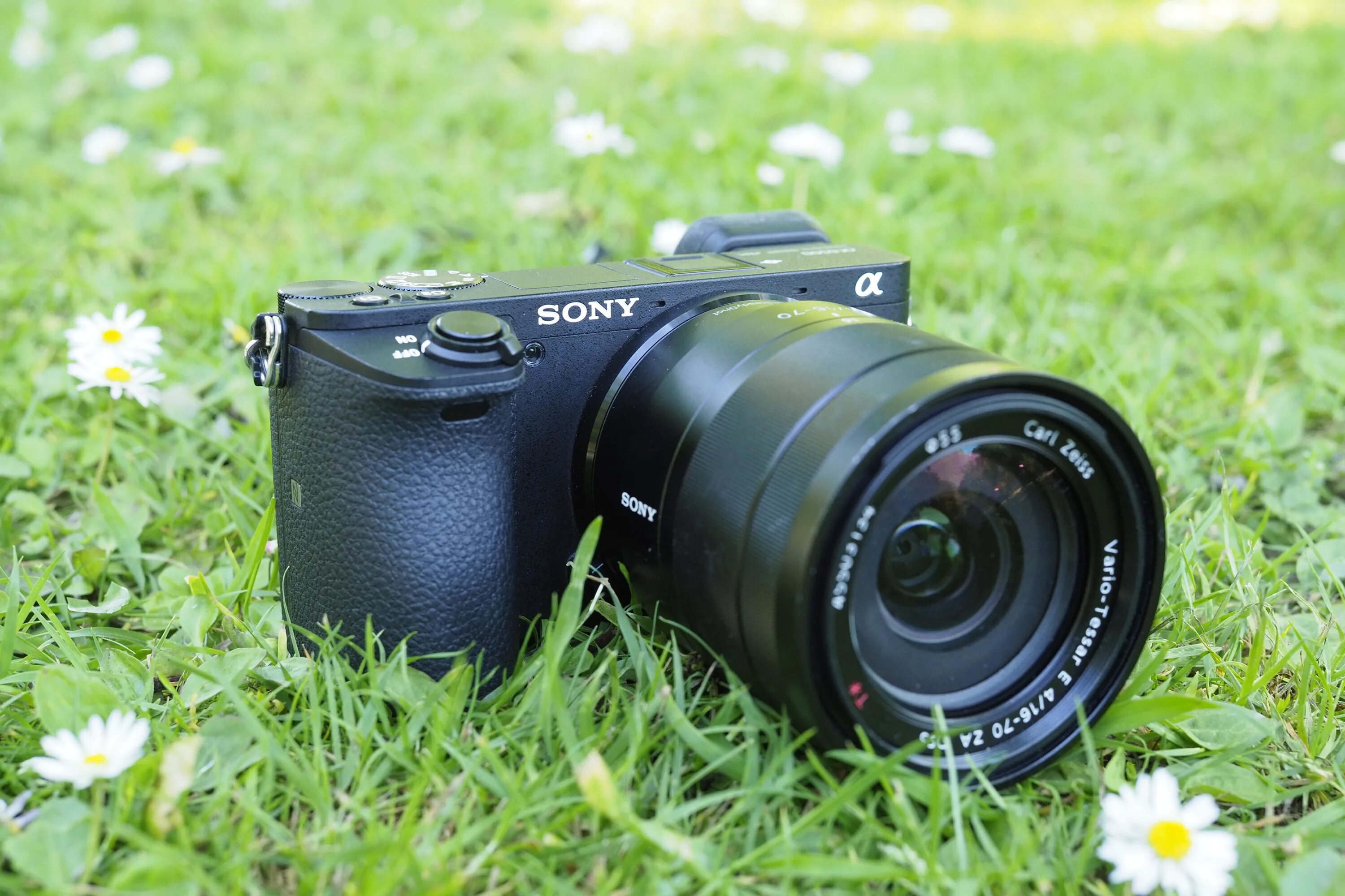 Sony a 6500. Камера Sony a6500. Сони а 6500. Sony a6400.