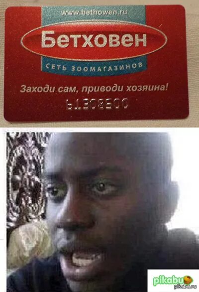 Хватит ли капусты и не подведет ли морковка. Заходи сам приводи хозяина. Сама зайду. Сама зайду. Сама зайду.