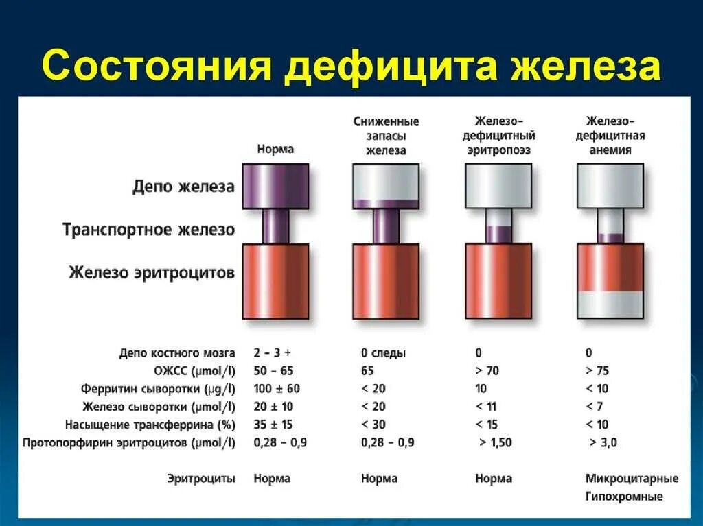 Изменение железа в крови. Сывороточное железо и ферритин норма. Показатели гемоглобин, ферритин сывороточное железо. Показатели железа и ферритин нормы. Гемоглобин ферритин железо показатели нормы.