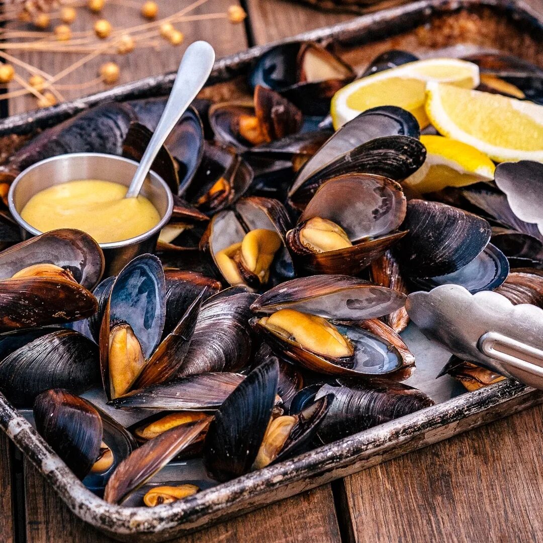 Что такое мидии. Мидии. морепродукты мидии. мидии маленькие. мидии фото.
